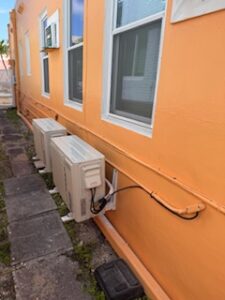 Img 3923